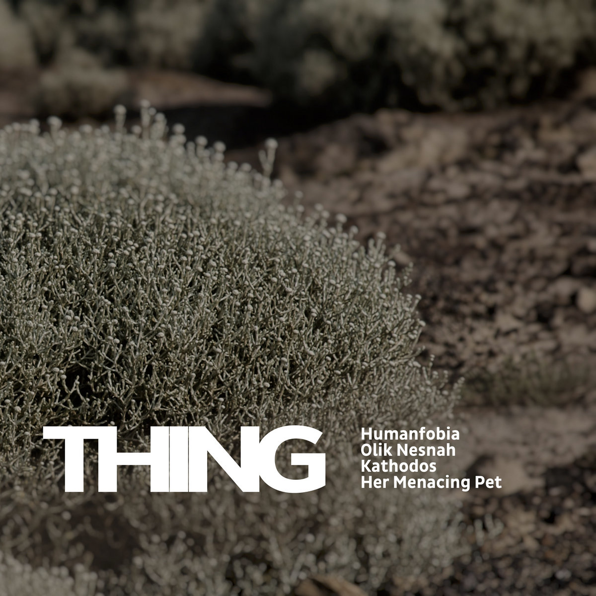 Thing